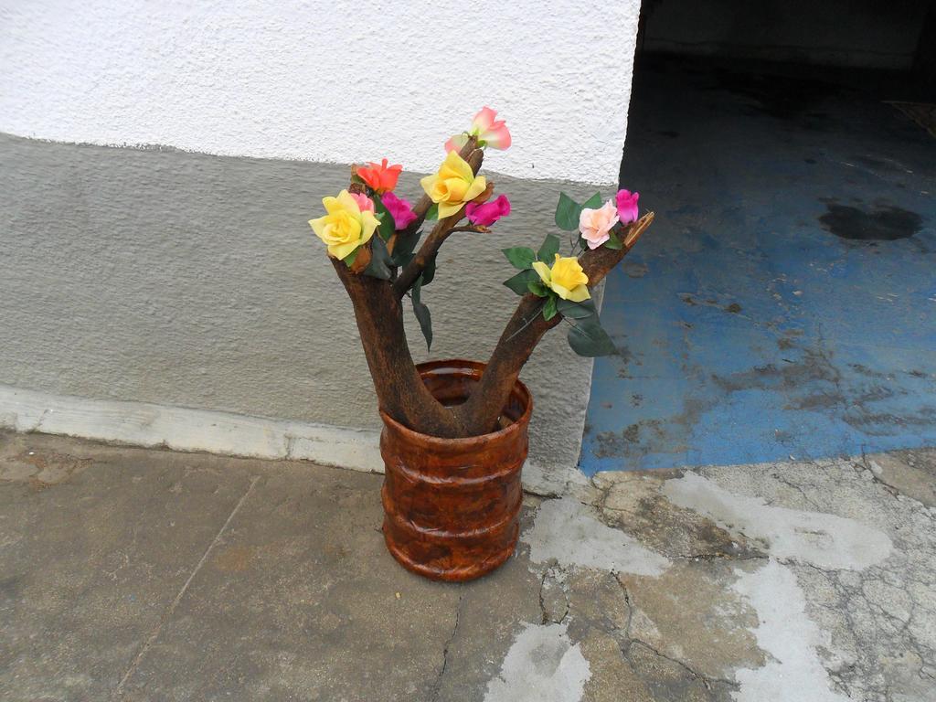 Pousada Alpino Nova Friburgo Exterior foto